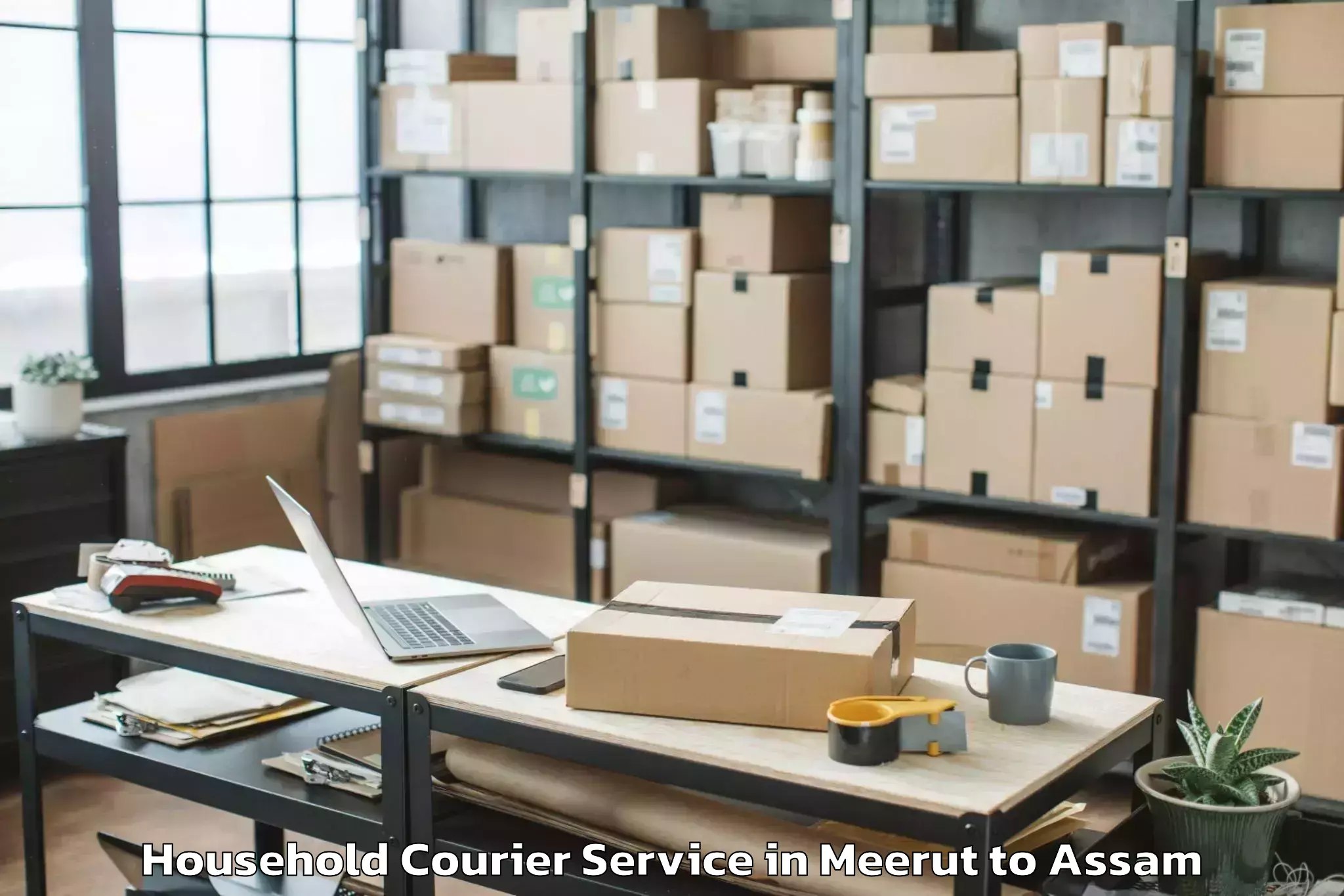 Hassle-Free Meerut to Biswanath Charali Household Courier